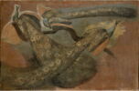 Triple étude d'un paon, image 2/2