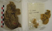 fibre de laine, image 2/2