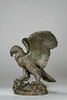 Aigle emportant un serpent, image 5/10