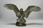 Aigle emportant un serpent, image 7/10