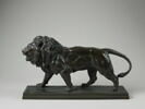 Lion qui marche, image 1/2
