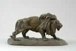 Lion affamé, image 1/7