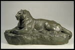 Panthère de l'Inde (?), image 1/4