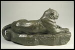 Panthère de l'Inde (?), image 4/4