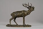 Cerf bramant, image 1/7