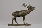 Cerf bramant, image 3/7