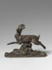 Petite biche courant, image 1/4