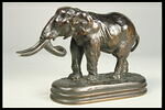 Éléphant de Cochinchine arrêté, image 5/7