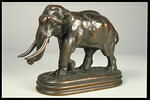 Éléphant d'Asie, image 5/7
