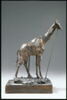 Girafe, image 6/14