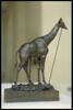 Girafe, image 14/14