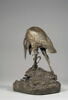 Héron et sa grenouille, image 6/7