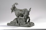 Bouc et chèvre, image 2/8