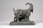 Bouc et chèvre, image 5/8