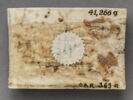Plaquette faisant partie d'un groupe de deux : Apôtres, image 2/3