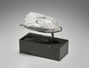 Cigale, image 1/9