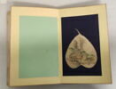 Album représentant vingt luohan 罗汉, image 16/30