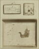Plaque monté : Un triomphe, image 5/5
