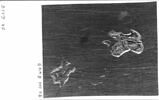 Ecuelle couverte et son plateau., image 17/21