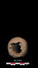 bulle de scellement, image 2/2