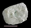 crapaudine, image 2/4