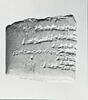 tablette, image 10/11