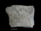bloc, image 1/2
