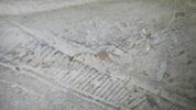 kudurru, image 7/9