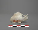 vase, image 1/3