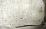 moulage, image 6/7