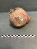 huguenote, image 3/4