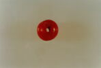 perle, image 2/2