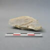 objet indéterminé, fragment, image 3/6