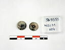cupule, image 1/2