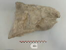 sculpture, image 1/2