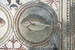 Mosaïque de Qabr Hiram, image 6/65