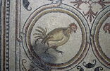 Mosaïque de Qabr Hiram, image 14/65