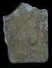 Stèle votive à Saturne (fragment), image 1/2