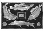 plat, image 2/3