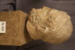 statue, image 3/7