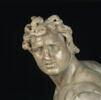 Gaulois blessé, image 6/9