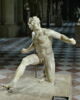 Gaulois blessé, image 8/9
