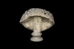 statue en buste, image 4/4