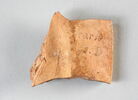 oscillum, image 2/2