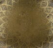 Bol, image 12/16