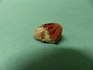 fragment indéterminé, image 1/2