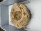 bouchon de jarre en calotte ; empreinte de sceau, image 3/3