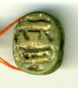 scarabée détaillé, image 1/3