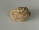 bouchon de jarre, image 1/2