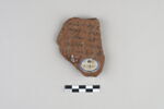 ostracon, image 2/4